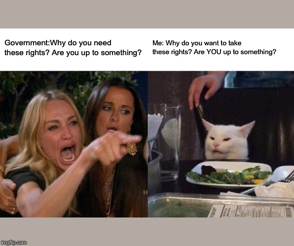 Woman Yelling At Cat | Government:Why do you need these rights? Are you up to something? Me: Why do you want to take these rights? Are YOU up to something? | image tagged in memes,woman yelling at cat | made w/ Imgflip meme maker