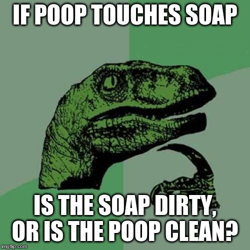 Philosoraptor | IF POOP TOUCHES SOAP; IS THE SOAP DIRTY, OR IS THE POOP CLEAN? | image tagged in memes,philosoraptor | made w/ Imgflip meme maker