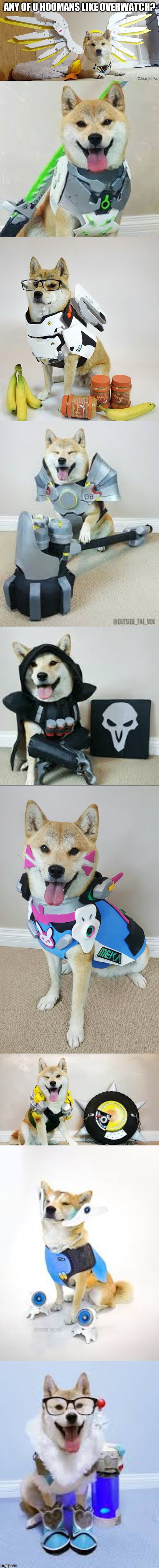 ANY OF U HOOMANS LIKE OVERWATCH? | made w/ Imgflip meme maker