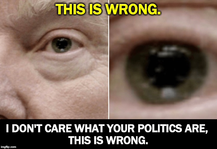 Ask Noel Casler. |  THIS IS WRONG. I DON'T CARE WHAT YOUR POLITICS ARE, 
THIS IS WRONG. | image tagged in trump eyes dilated close and closer,trump,eyes,drugs,addict | made w/ Imgflip meme maker