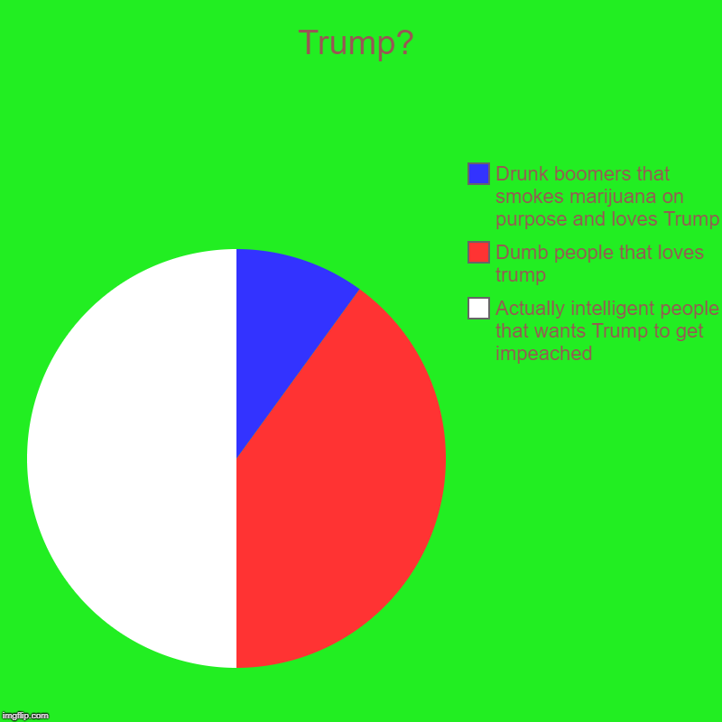 Trump? | Actually intelligent people that wants Trump to get impeached, Dumb people that loves trump, Drunk boomers that smokes marijuana on | image tagged in charts,pie charts | made w/ Imgflip chart maker