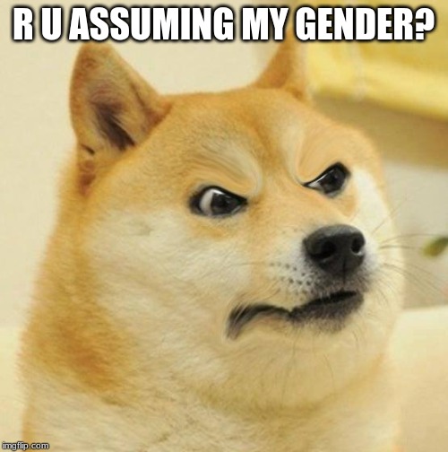 angery doge | R U ASSUMING MY GENDER? | image tagged in angery doge | made w/ Imgflip meme maker