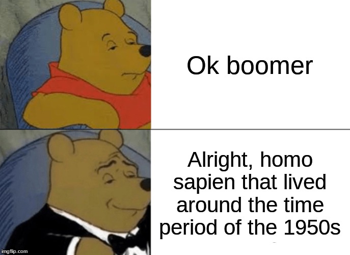 Tuxedo Winnie The Pooh Meme | Ok boomer; Alright, homo sapien that lived around the time period of the 1950s | image tagged in memes,tuxedo winnie the pooh | made w/ Imgflip meme maker