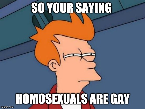 Futurama Fry | SO YOUR SAYING; HOMOSEXUALS ARE GAY | image tagged in memes,futurama fry | made w/ Imgflip meme maker