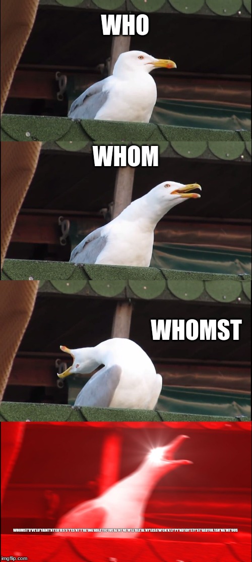 Inhaling Seagull Meme | WHO; WHOM; WHOMST; WHOMST'D'VE'LU'YAINT'NT'ED'IES'S'Y'ES'NT'T'RE'ING'ABLE'TIC'IVE'AL'NT'NE'M'LL'BLE'AL'NY'LESS'W'CK'K'LY'PY'ND'IDY'ETY'ST'GED'FUL'ISH'NG'MT'OUS | image tagged in memes,inhaling seagull | made w/ Imgflip meme maker