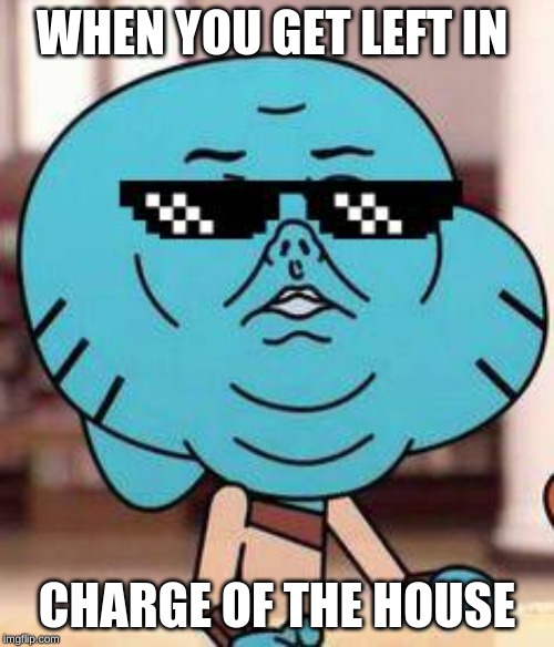 WHEN YOU GET LEFT IN; CHARGE OF THE HOUSE | image tagged in gumball | made w/ Imgflip meme maker