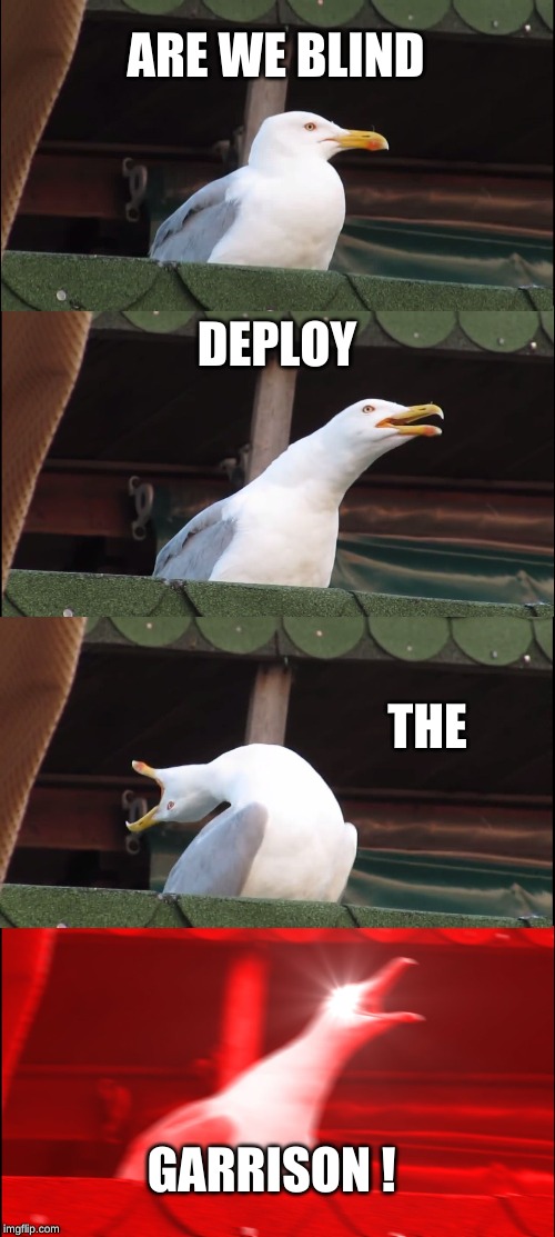 Inhaling Seagull Meme | ARE WE BLIND; DEPLOY; THE; GARRISON ! | image tagged in memes,inhaling seagull | made w/ Imgflip meme maker