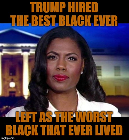 Omarosa Breaking News | TRUMP HIRED THE BEST BLACK EVER LEFT AS THE WORST BLACK THAT EVER LIVED | image tagged in omarosa breaking news | made w/ Imgflip meme maker