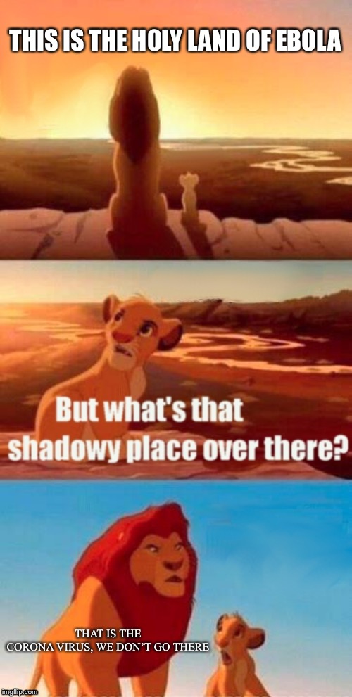 Simba Shadowy Place Meme | THIS IS THE HOLY LAND OF EBOLA; THAT IS THE CORONA VIRUS, WE DON’T GO THERE | image tagged in memes,simba shadowy place | made w/ Imgflip meme maker
