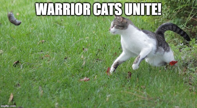 Warrior cat meme | WARRIOR CATS UNITE! | image tagged in warrior cat meme | made w/ Imgflip meme maker