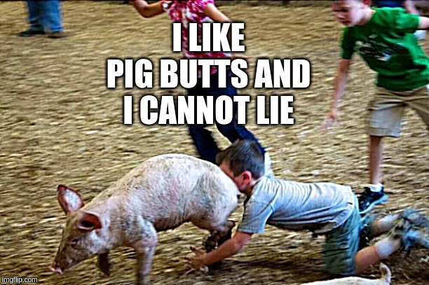 Pig Butts | I LIKE PIG BUTTS AND I CANNOT LIE | image tagged in just for fun | made w/ Imgflip meme maker