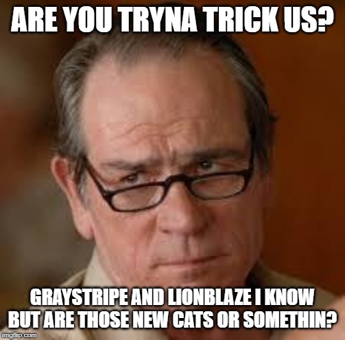 my face when someone asks a stupid question | ARE YOU TRYNA TRICK US? GRAYSTRIPE AND LIONBLAZE I KNOW BUT ARE THOSE NEW CATS OR SOMETHIN? | image tagged in my face when someone asks a stupid question | made w/ Imgflip meme maker