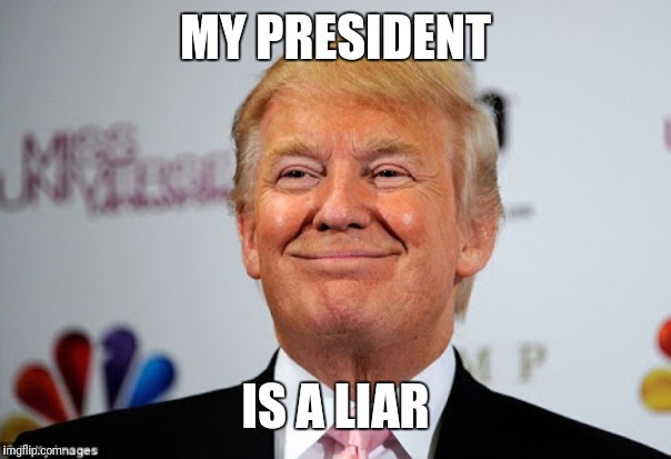 Donald trump approves | MY PRESIDENT IS A LIAR | image tagged in donald trump approves | made w/ Imgflip meme maker