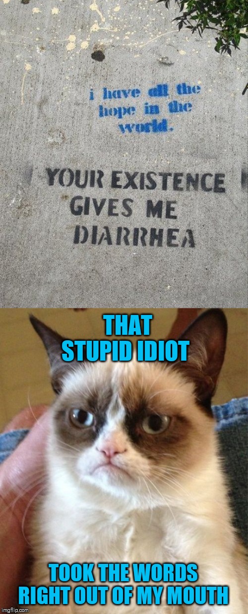 You make me sick | THAT STUPID IDIOT; TOOK THE WORDS RIGHT OUT OF MY MOUTH | image tagged in memes,grumpy cat,44colt,diarrhea,sick,graffiti | made w/ Imgflip meme maker