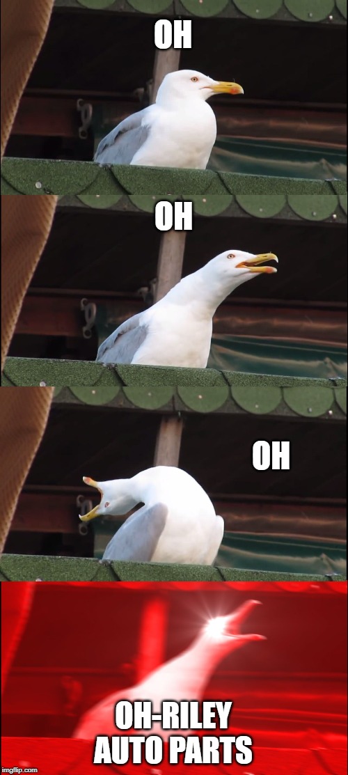 Inhaling Seagull Meme | OH OH OH OH-RILEY
AUTO PARTS | image tagged in memes,inhaling seagull | made w/ Imgflip meme maker