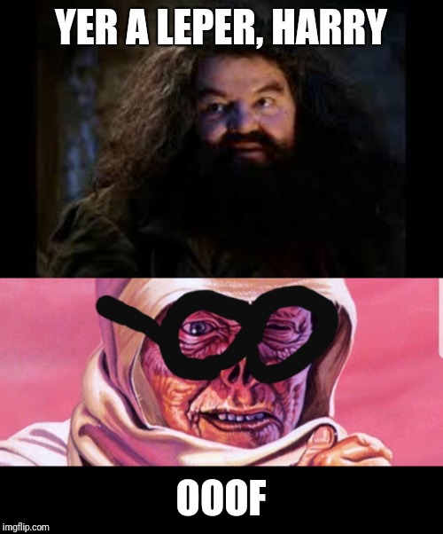 YER A LEPER, HARRY; OOOF | image tagged in hagrid yer a wizard | made w/ Imgflip meme maker