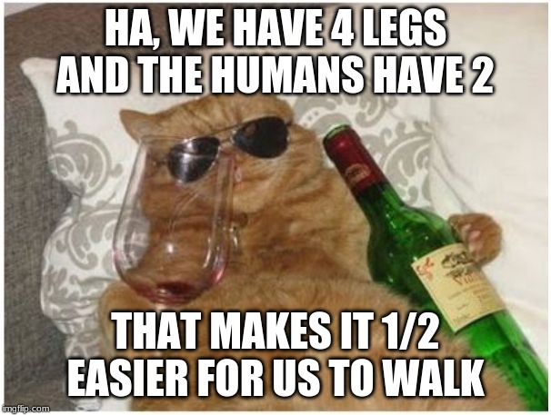 relaxing cat | HA, WE HAVE 4 LEGS AND THE HUMANS HAVE 2; THAT MAKES IT 1/2 EASIER FOR US TO WALK | image tagged in relaxing cat | made w/ Imgflip meme maker