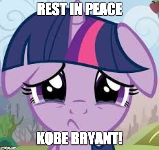 We lost a superstar! | REST IN PEACE; KOBE BRYANT! | image tagged in sad twilight,memes,kobe bryant,death,rest in peace | made w/ Imgflip meme maker