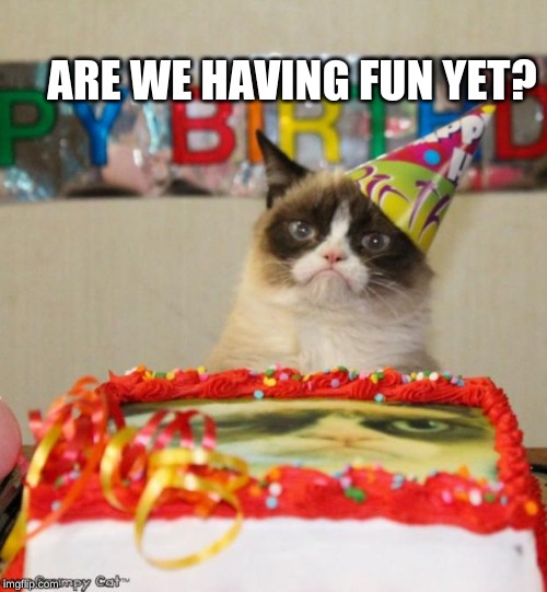 Grumpy Cat Birthday Meme | ARE WE HAVING FUN YET? | image tagged in memes,grumpy cat birthday,grumpy cat | made w/ Imgflip meme maker