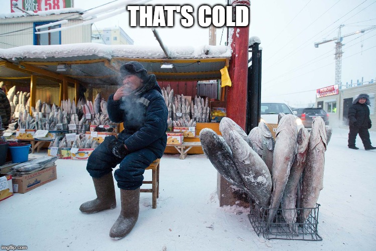 Thats Cold | THAT'S COLD | image tagged in thats cold | made w/ Imgflip meme maker