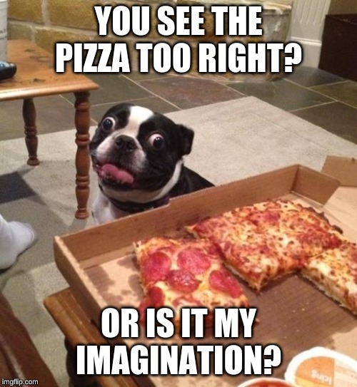 Hungry Pizza Dog | YOU SEE THE PIZZA TOO RIGHT? OR IS IT MY IMAGINATION? | image tagged in hungry pizza dog | made w/ Imgflip meme maker