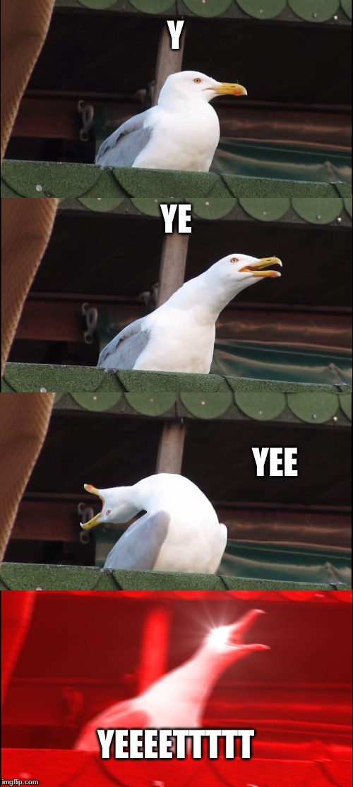 Inhaling Seagull Meme | Y; YE; YEE; YEEEETTTTT | image tagged in memes,inhaling seagull | made w/ Imgflip meme maker