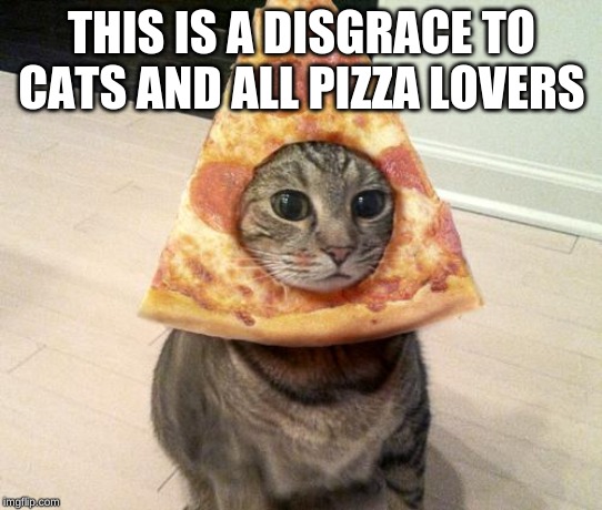 pizza cat | THIS IS A DISGRACE TO CATS AND ALL PIZZA LOVERS | image tagged in pizza cat | made w/ Imgflip meme maker