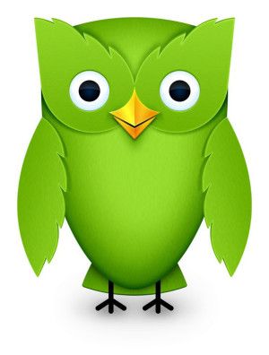 2012 Duolingo Owl Blank Meme Template