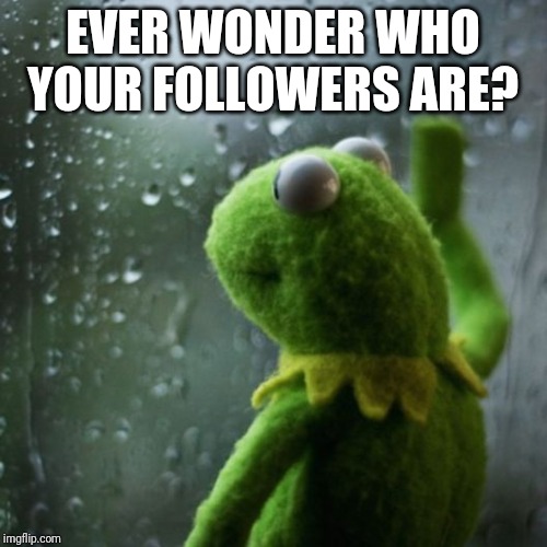 sometimes I wonder  | EVER WONDER WHO YOUR FOLLOWERS ARE? | image tagged in sometimes i wonder | made w/ Imgflip meme maker
