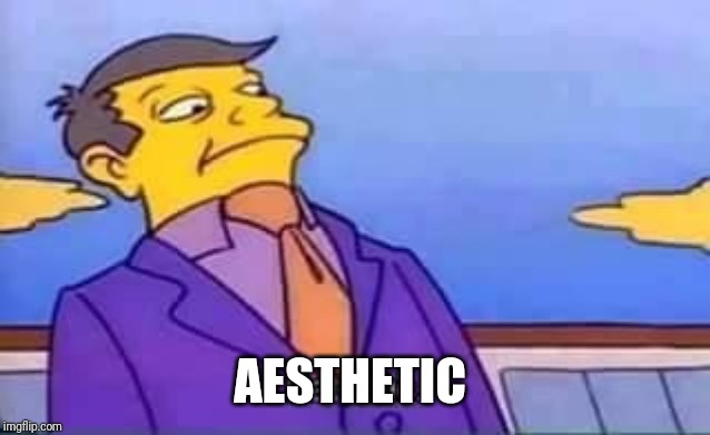 skinner pathetic | AESTHETIC | image tagged in skinner pathetic | made w/ Imgflip meme maker