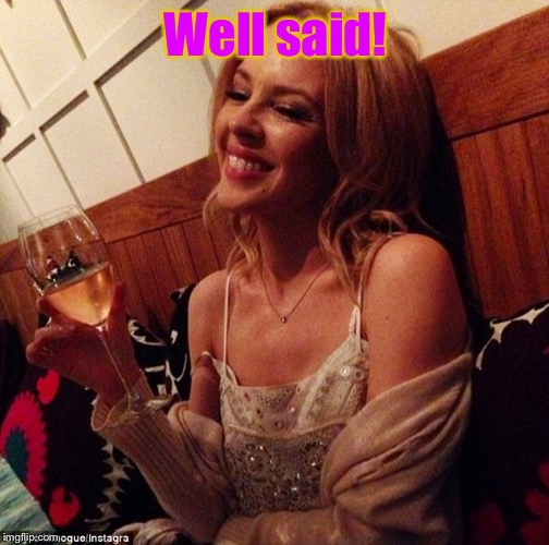 Kylie cheers | Well said! | image tagged in kylie cheers | made w/ Imgflip meme maker