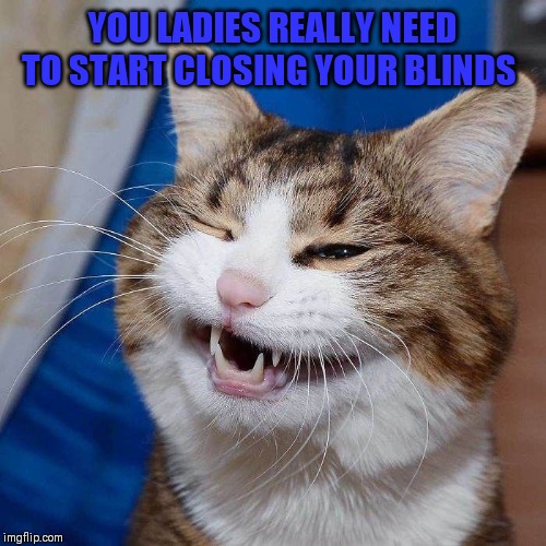 YOU LADIES REALLY NEED TO START CLOSING YOUR BLINDS | made w/ Imgflip meme maker
