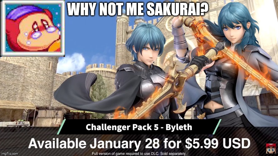 Byleth shouldn't be in the roster. Bandana Dee or Octoling would be fine instead | WHY NOT ME SAKURAI? | image tagged in bandana dee,sad,kirby,fire emblem,smash bros,memes | made w/ Imgflip meme maker