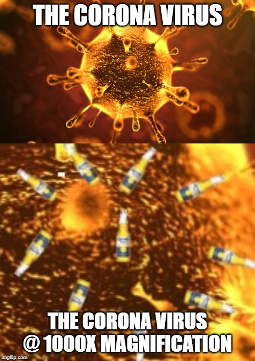 It is a Deadly Virus | THE CORONA VIRUS; THE CORONA VIRUS @ 1000X MAGNIFICATION | image tagged in coronavirus | made w/ Imgflip meme maker