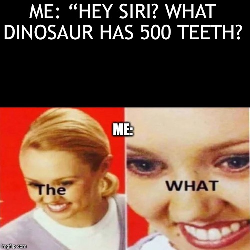 The What | ME: “HEY SIRI? WHAT DINOSAUR HAS 500 TEETH? ME: | image tagged in the what | made w/ Imgflip meme maker