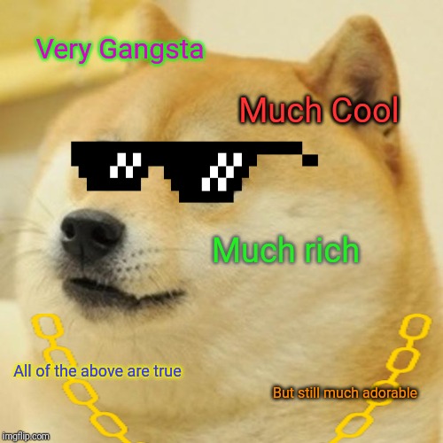 Dat Doge | Very Gangsta; Much Cool; Much rich; All of the above are true; But still much adorable | image tagged in doge | made w/ Imgflip meme maker