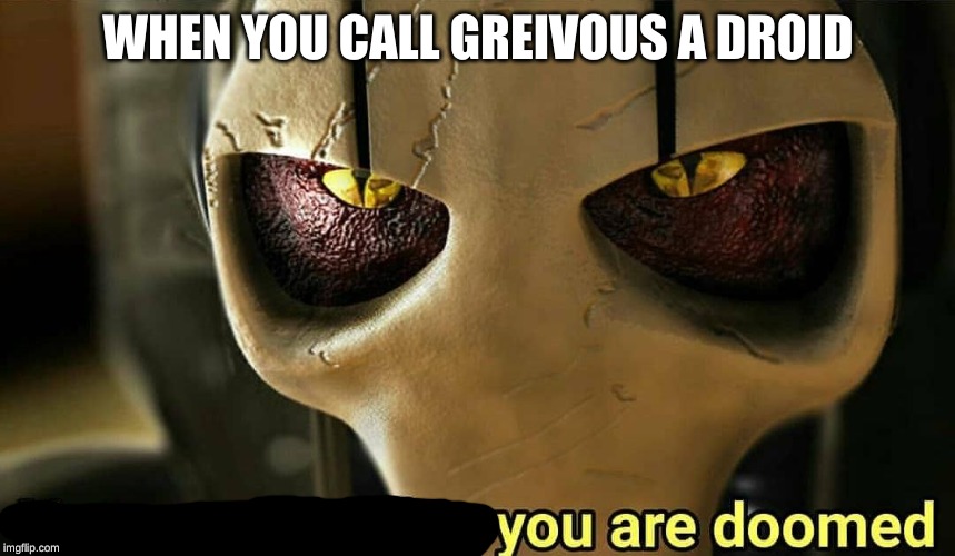 you must realize you are doomed | WHEN YOU CALL GREIVOUS A DROID | image tagged in you must realize you are doomed | made w/ Imgflip meme maker