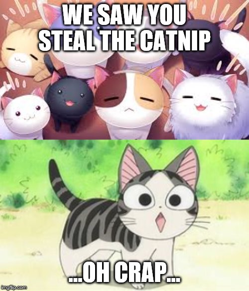 WE SAW YOU STEAL THE CATNIP; ...OH CRAP... | image tagged in so who broke into the house | made w/ Imgflip meme maker