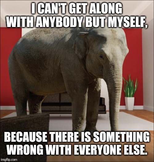 The Elephant in the Room | I CAN'T GET ALONG WITH ANYBODY BUT MYSELF, BECAUSE THERE IS SOMETHING WRONG WITH EVERYONE ELSE. | image tagged in the elephant in the room | made w/ Imgflip meme maker