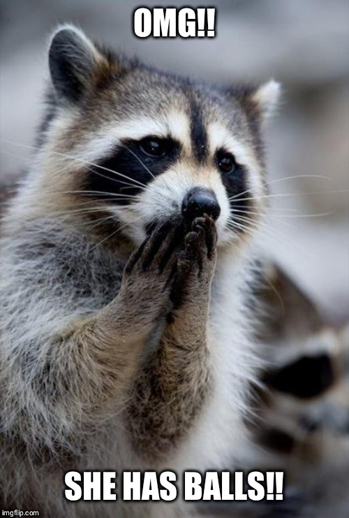 surprised raccoon | OMG! SHE HAS BALLS!! | image tagged in surprised raccoon | made w/ Imgflip meme maker