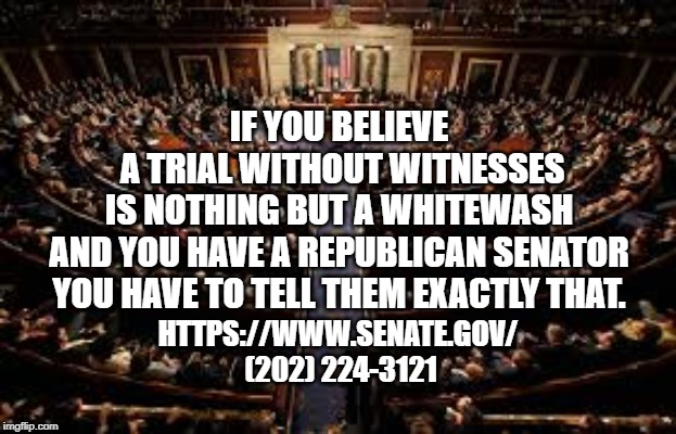 Senate | IF YOU BELIEVE
 A TRIAL WITHOUT WITNESSES
IS NOTHING BUT A WHITEWASH
AND YOU HAVE A REPUBLICAN SENATOR
YOU HAVE TO TELL THEM EXACTLY THAT. HTTPS://WWW.SENATE.GOV/

 (202) 224-3121 | image tagged in senate | made w/ Imgflip meme maker