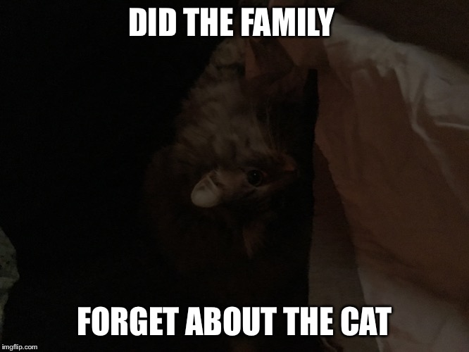 DID THE FAMILY; FORGET ABOUT THE CAT | made w/ Imgflip meme maker