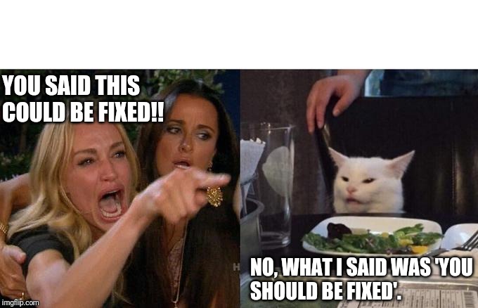 Woman Yelling At Cat Meme - Imgflip