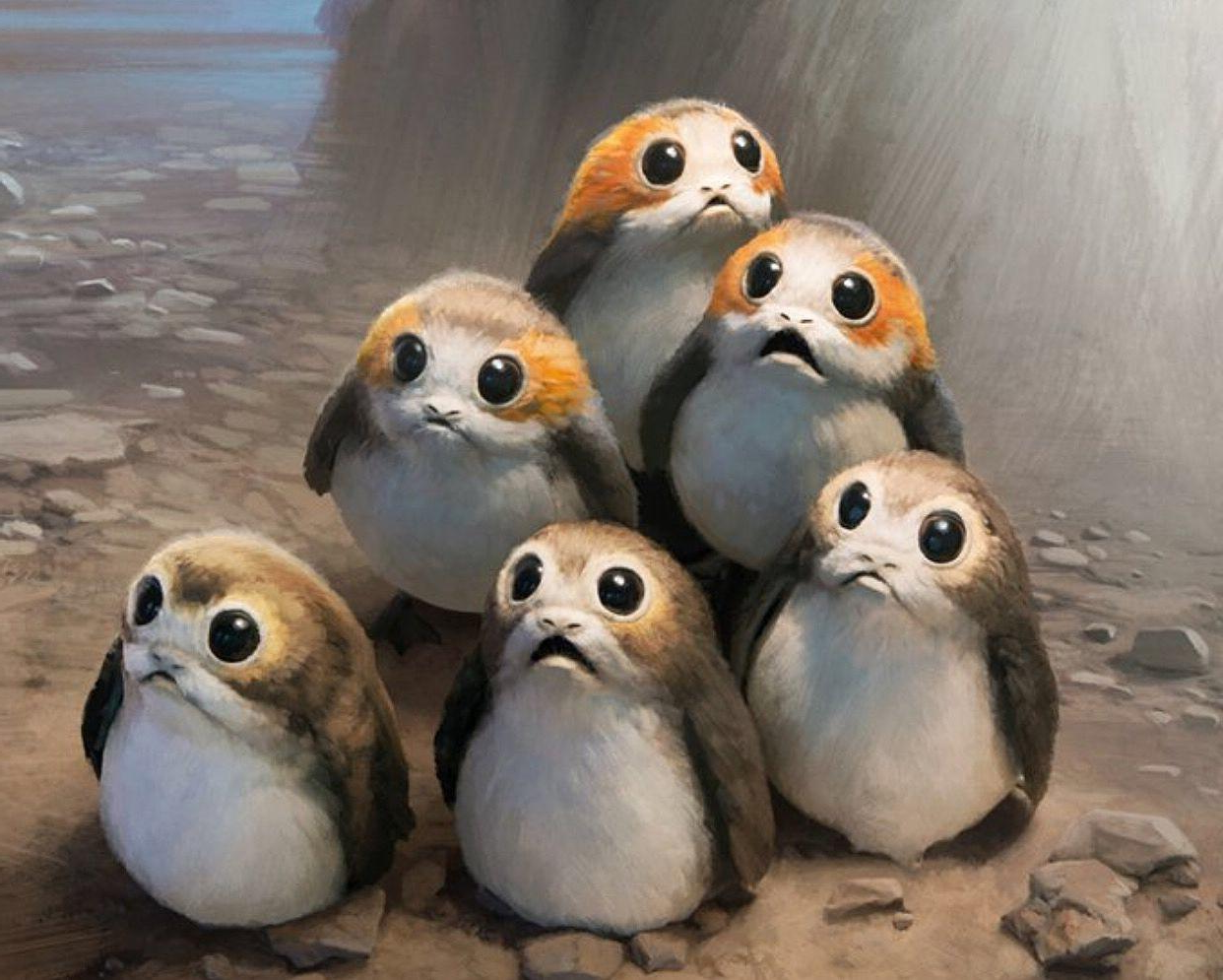 High Quality porg Blank Meme Template