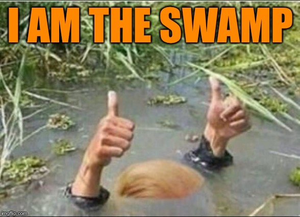 Trump Swamp Creature | I AM THE SWAMP | image tagged in trump swamp creature | made w/ Imgflip meme maker