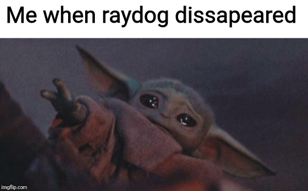 Baby yoda cry | Me when raydog dissapeared | image tagged in baby yoda cry | made w/ Imgflip meme maker