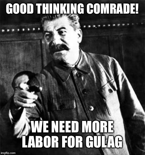 Stalin | GOOD THINKING COMRADE! WE NEED MORE LABOR FOR GULAG | image tagged in stalin | made w/ Imgflip meme maker