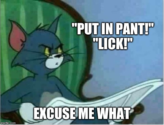 "PUT IN PANT!"
"LICK!" EXCUSE ME WHAT | image tagged in interrupting tom's read | made w/ Imgflip meme maker