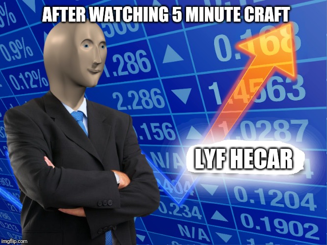 Empty Stonks | AFTER WATCHING 5 MINUTE CRAFT; LYF HECAR | image tagged in empty stonks | made w/ Imgflip meme maker