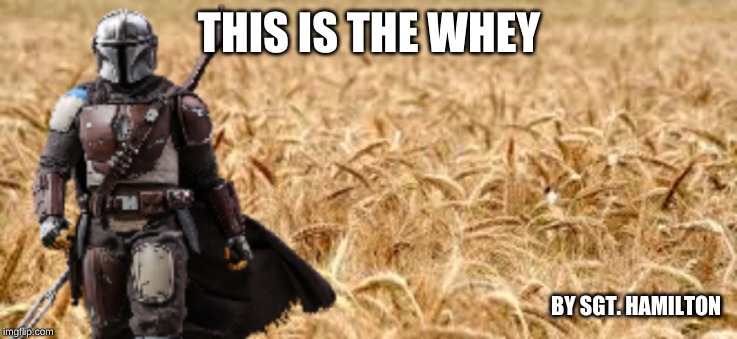 THIS IS THE WHEY; BY SGT. HAMILTON | image tagged in mandalorian | made w/ Imgflip meme maker